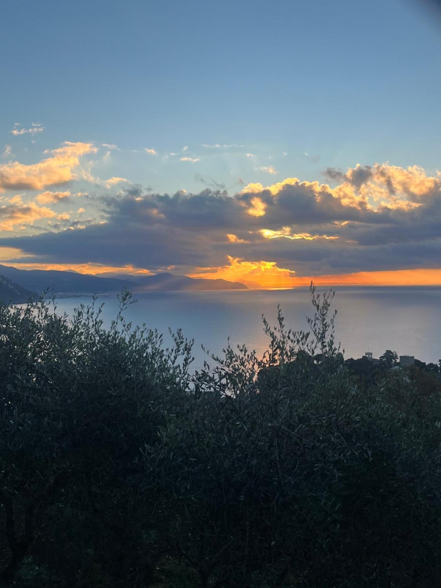 La Conchiglia Bed & Breakfast Camogli Esterno foto