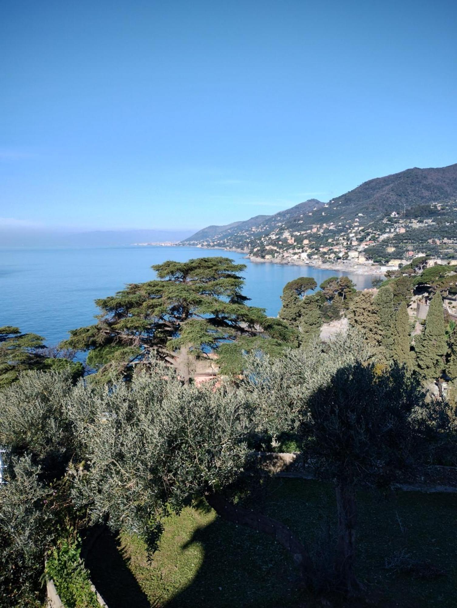 La Conchiglia Bed & Breakfast Camogli Esterno foto