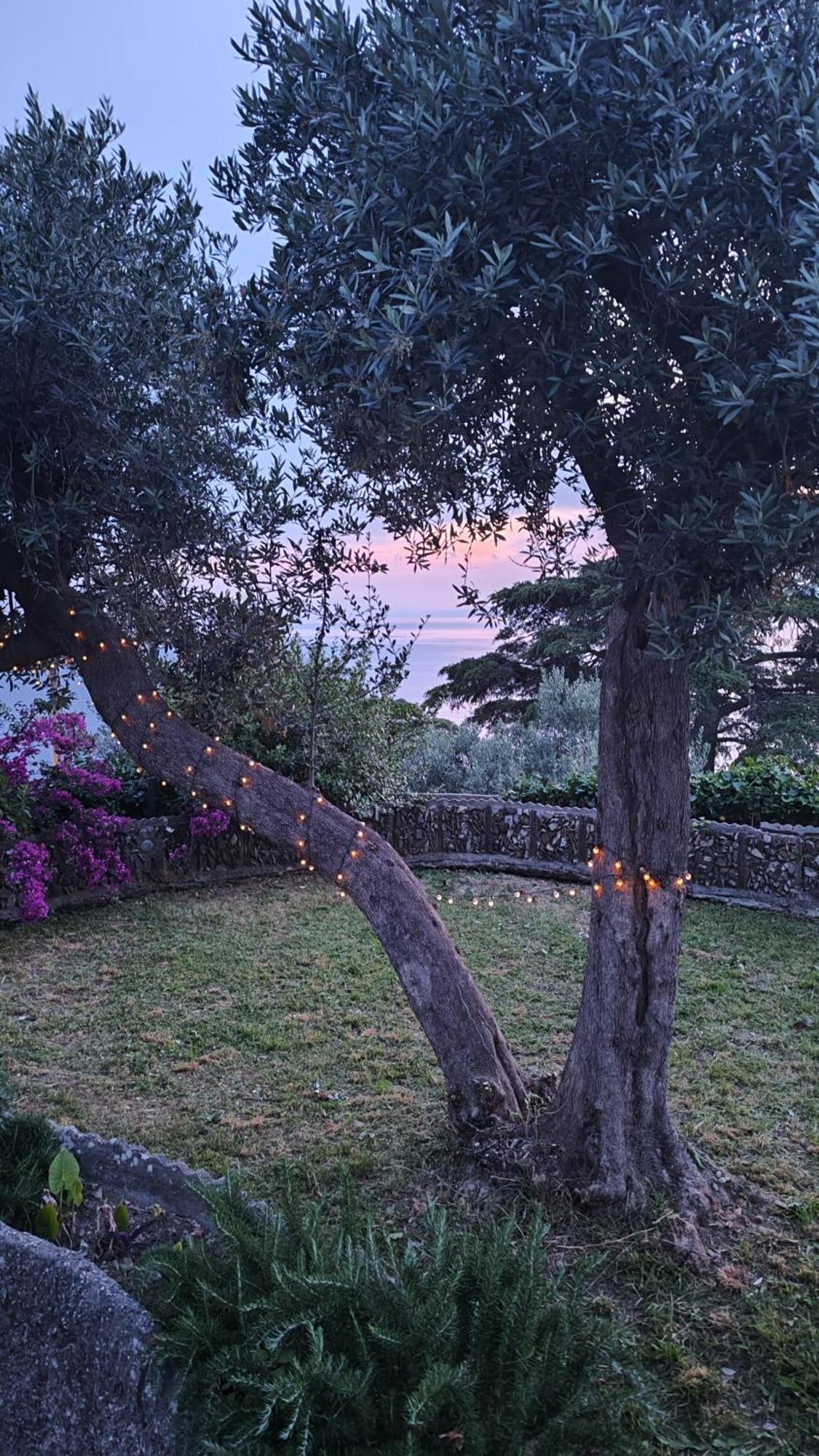 La Conchiglia Bed & Breakfast Camogli Esterno foto
